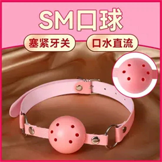 女王 - 16881
