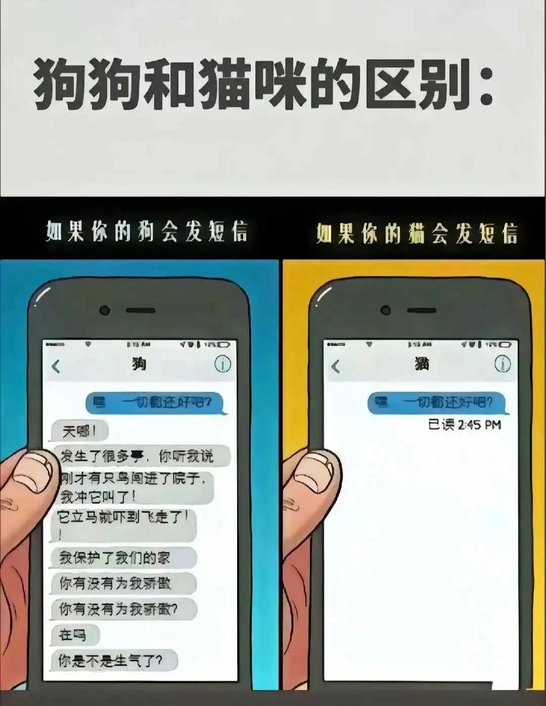【西檬之家】字母圈新人入圈：BDSM亚文化权威指南与核心术语解析