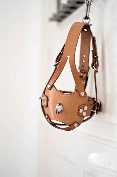 西檬之家-BDSM概念解析：S倾向与新手入圈指南