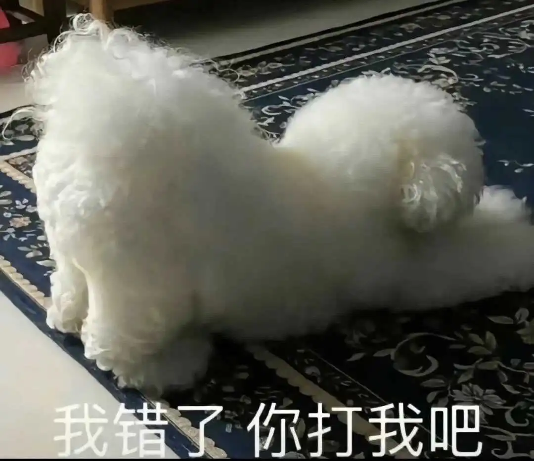践踏癖 - 2023_12_05_21_26_IMG_9543