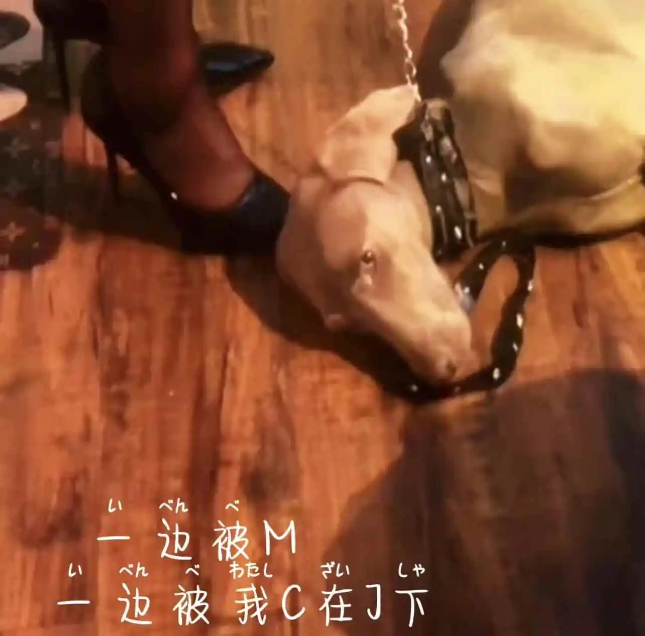 西檬之家-Dirty Talk是什么？字母圈新人入圈指南