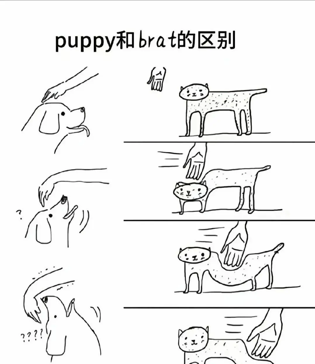 M倾向 - 微信图片_2025-11-13_180940_765