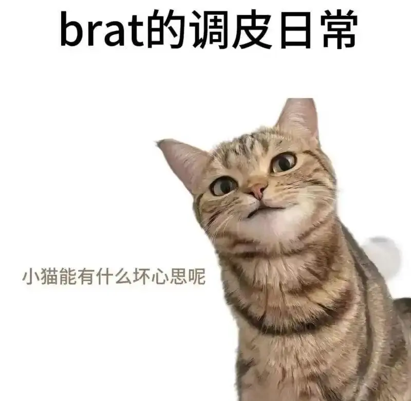 Sub是什么 - 微信图片_20251203212836_109_19