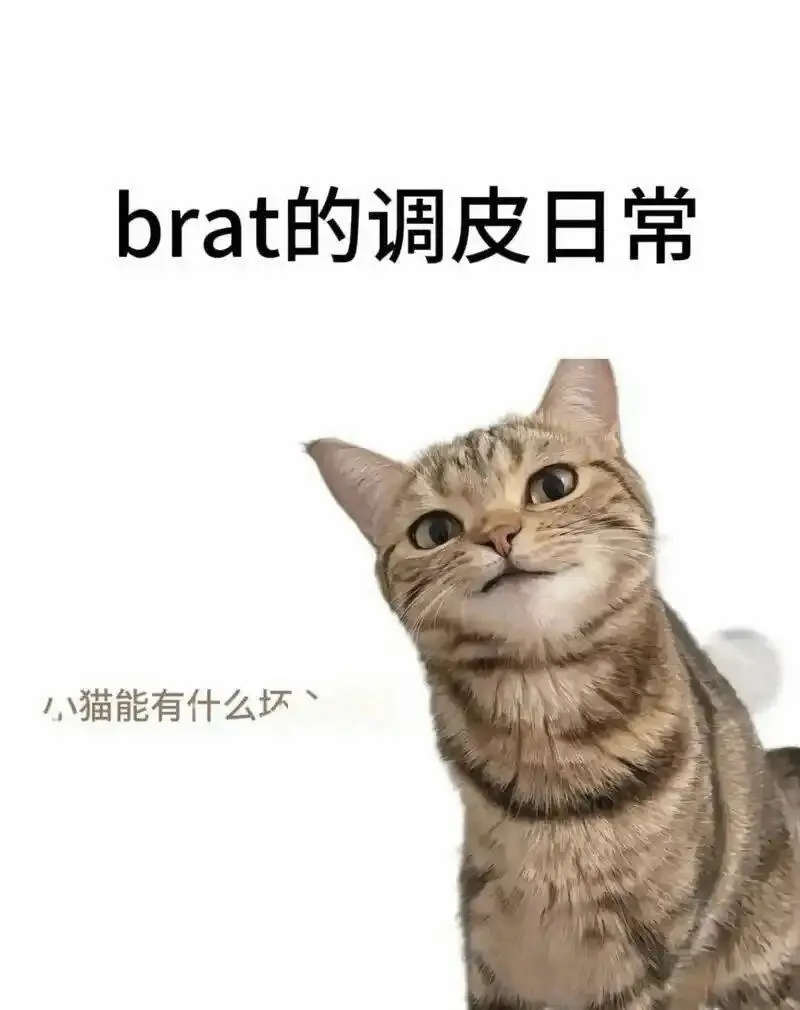 西檬之家-DT在字母圈是什么意思？新人如何掌握Dirty Talk技巧